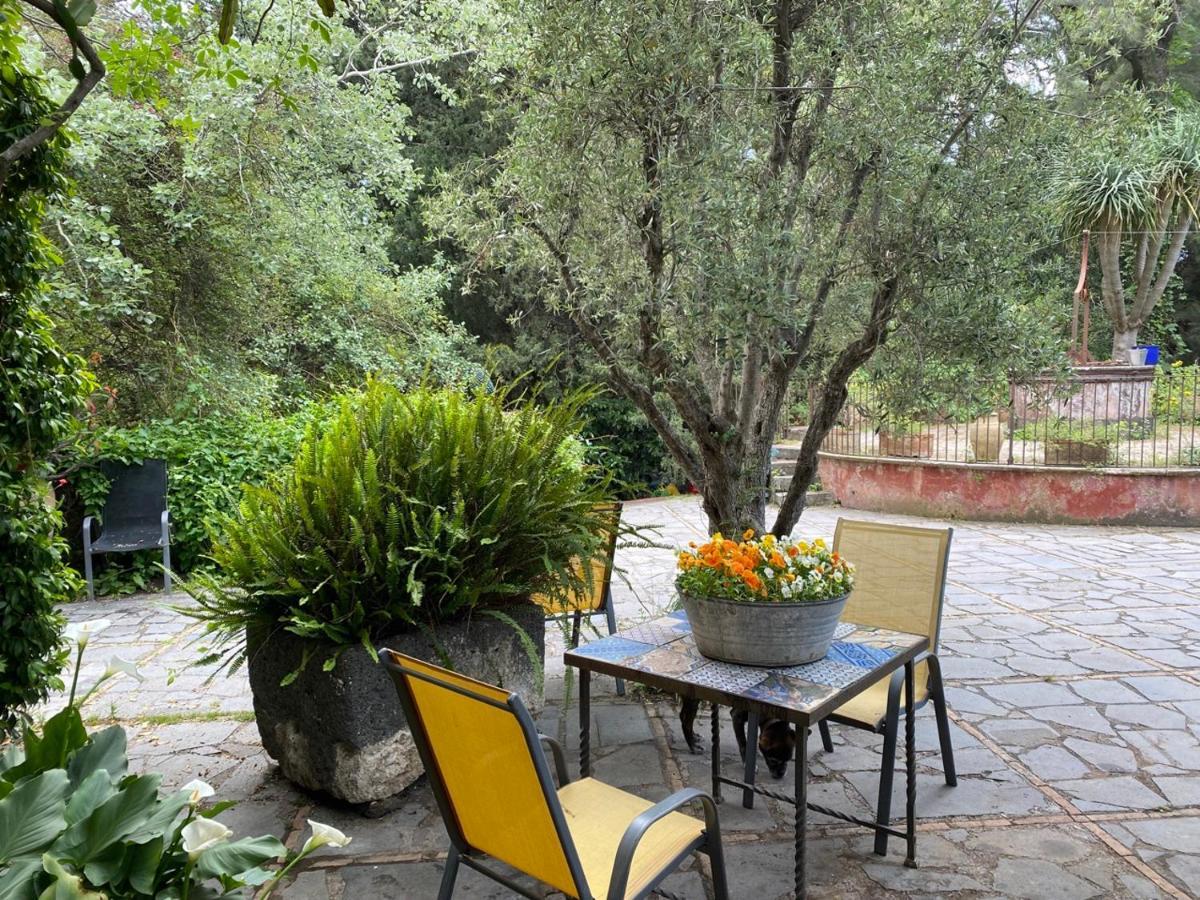 Etna Botanic Garden Διαμέρισμα Mascalucia Εξωτερικό φωτογραφία
