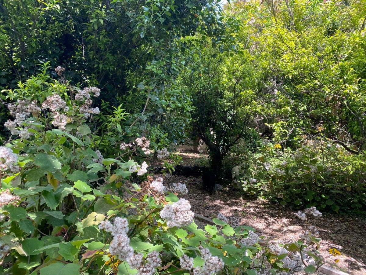 Etna Botanic Garden Διαμέρισμα Mascalucia Εξωτερικό φωτογραφία