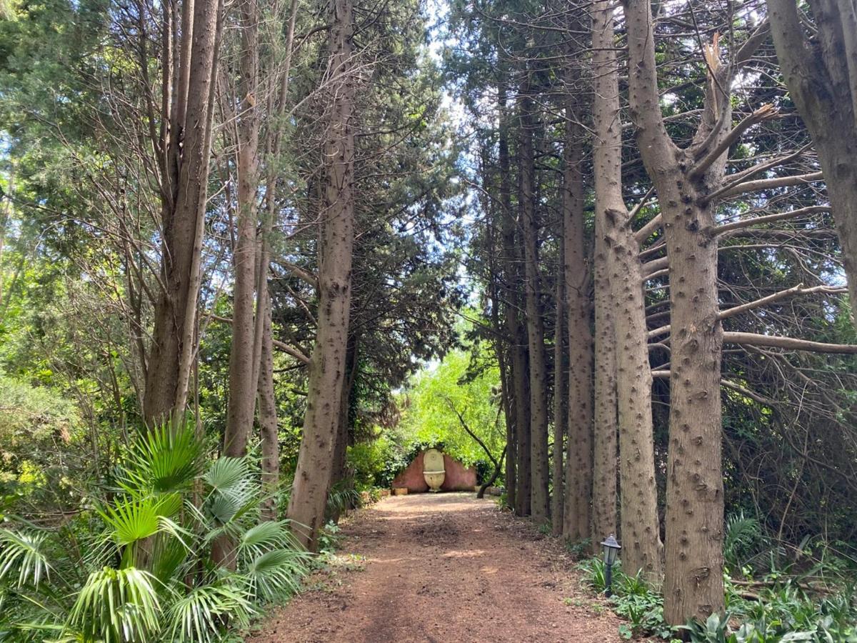 Etna Botanic Garden Διαμέρισμα Mascalucia Εξωτερικό φωτογραφία