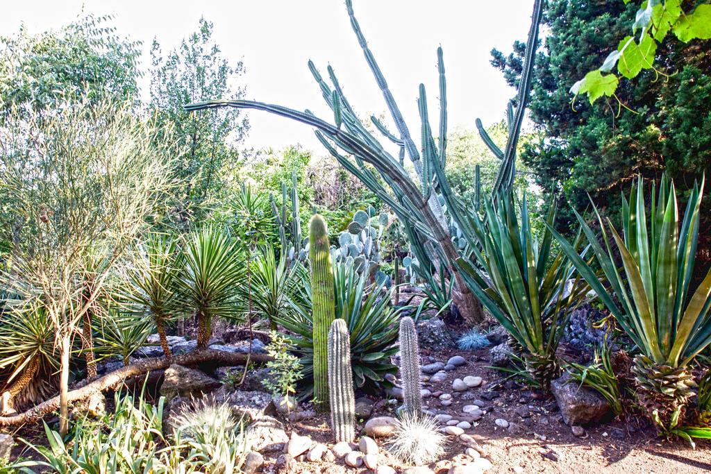 Etna Botanic Garden Διαμέρισμα Mascalucia Εξωτερικό φωτογραφία