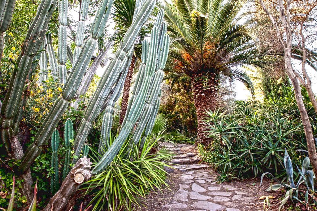 Etna Botanic Garden Διαμέρισμα Mascalucia Εξωτερικό φωτογραφία