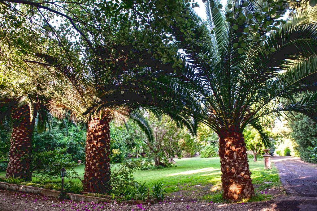 Etna Botanic Garden Διαμέρισμα Mascalucia Εξωτερικό φωτογραφία