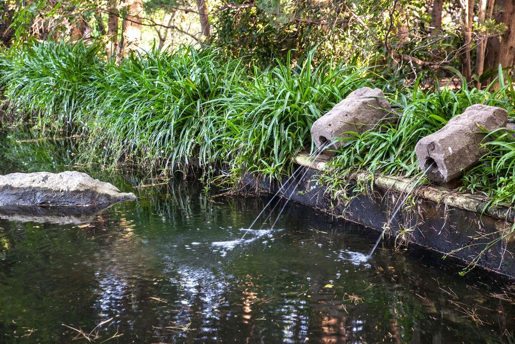 Etna Botanic Garden Διαμέρισμα Mascalucia Εξωτερικό φωτογραφία
